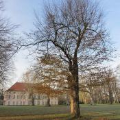 Blick auf das Schloss Schönhausen © SPSG, M. Hopp