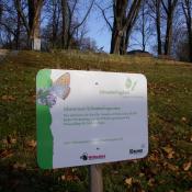 Informationstafel des BUND über das Schmetterlingswiesenprojekt © A. Hindersin
