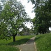 Sommerliche Blumenwiesen vor Schloss Rosenstein &copy; M. Sonnenfroh