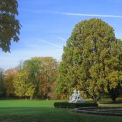 Denkmalgeschützter Landschaftspark mit Altbaumbestand © C. Hartmann