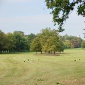 Weitl&auml;ufige, artenreiche Heuwiesen im FFH-Gebiet &copy; M. Sonnenfroh