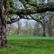 Frühlingsaspekt im Rosensteinpark © M. Sonnenfroh