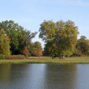 Im Gartenreich Dessau-Wörlitz - Weltkulturerbe. © A. von Lührte