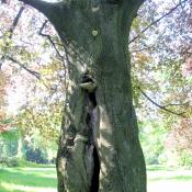 Lebensraum und/oder Sicherheitsrisiko? &copy; A. von L&uuml;hrte