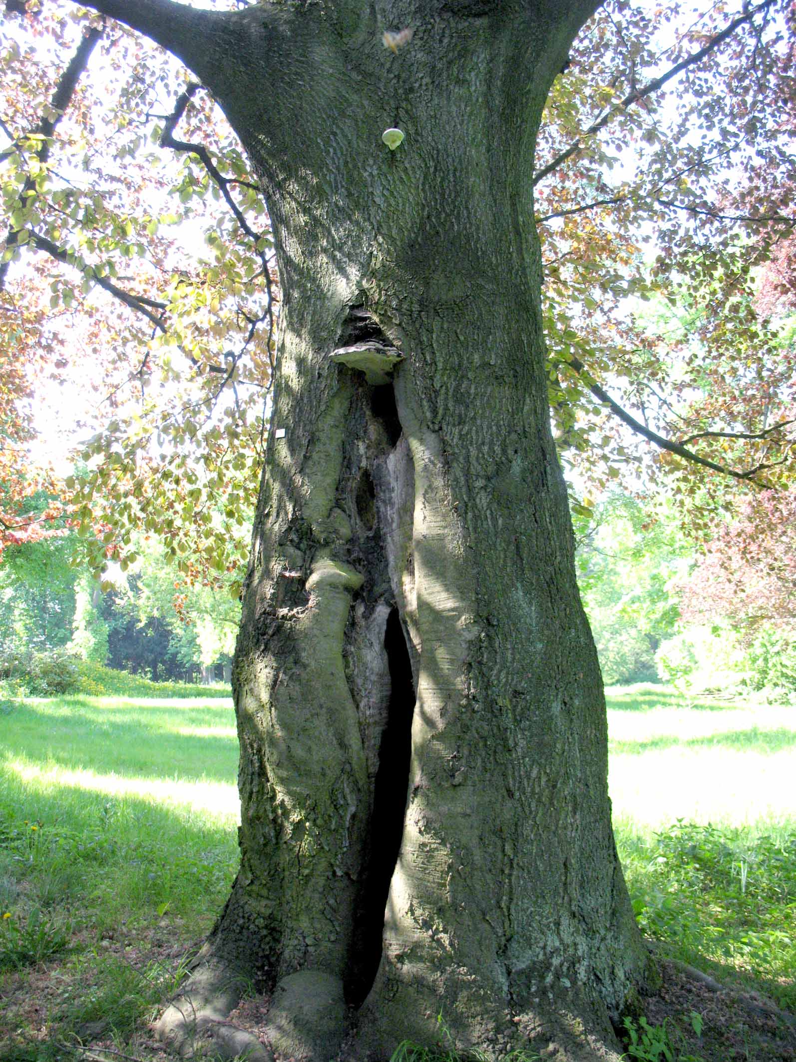 Naturschutz und Denkmalpflege