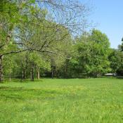 Feuchtwiese im Bucher Park - Beispiel für ein geschütztes Biotop. © A. von Lührte